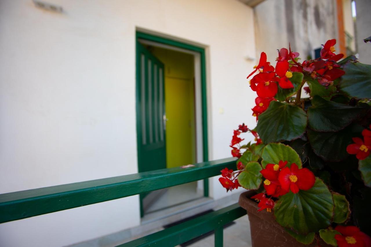 Apartment Nola Podgora Cameră foto